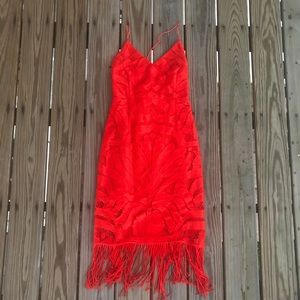 White Fox Backless Dress